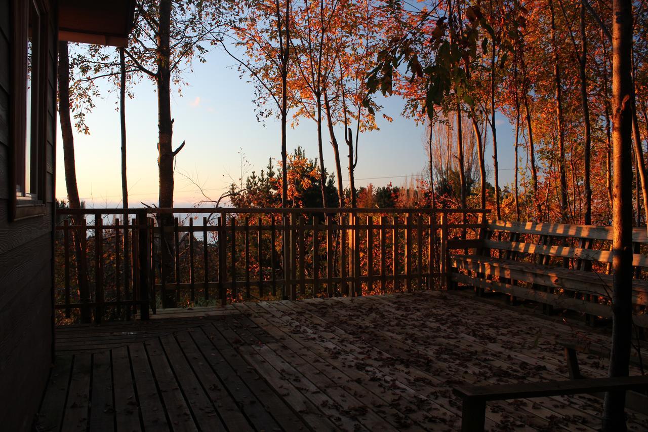 Cabanas Mas Ke Miel Lago Ranco Exterior photo